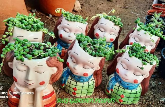 Human-shaped Ceramic Planters with Succulent Plant, Pot Included [RAJ GARDEN PLANTS]