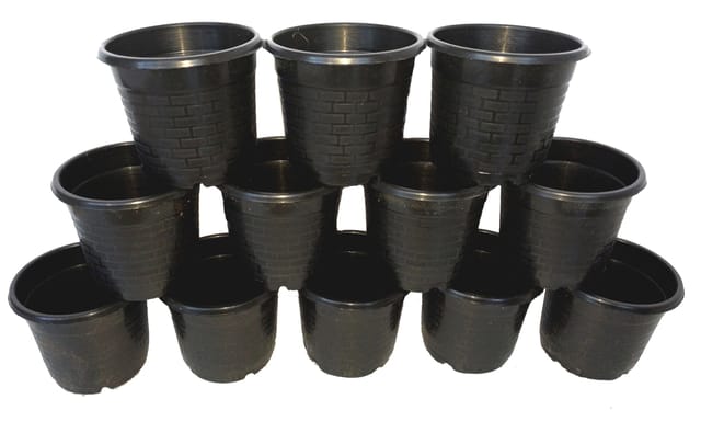 Nursery Grow Pots, Round Shape Plastic Pots, Set of 10 Pots, Pot Size 4 inch [RAJ GARDEN PLANTS]