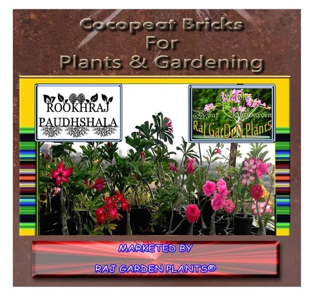 Cocopeat Bricks 5 Kg For Plants & Gardening, Soil Mixure & Potting Soil [RAJ GARDEN PLANTS]
