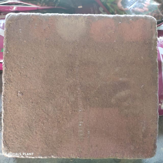 Cocopeat Powder (Pack Of 5Kgs) - Plants Glory