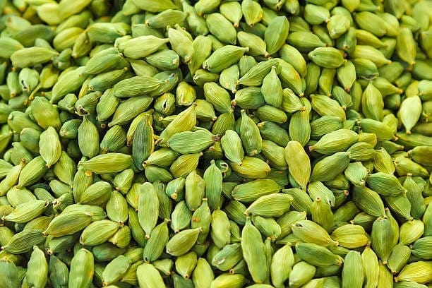 Elaichi/ Cardamom Plant (Hybrid, Pack Of 1) Elaichi/ Cardamom Plant (Hybrid, Pack Of 1)