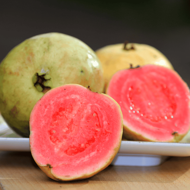 Thai Pink Guava Palnt (Psidium Cattleianum) Thai Pink Guava Palnt (Psidium Cattleianum)