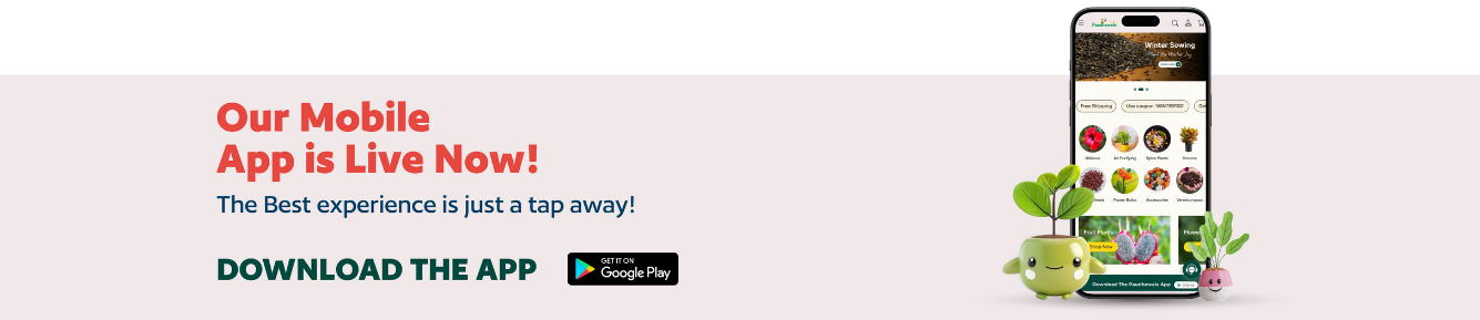 Download the Paudhewale App on Google Play