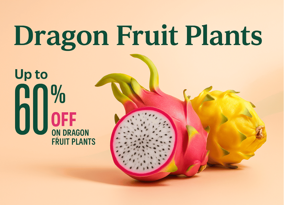 Rarest dragon fruit plants