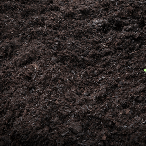 Vermicompost